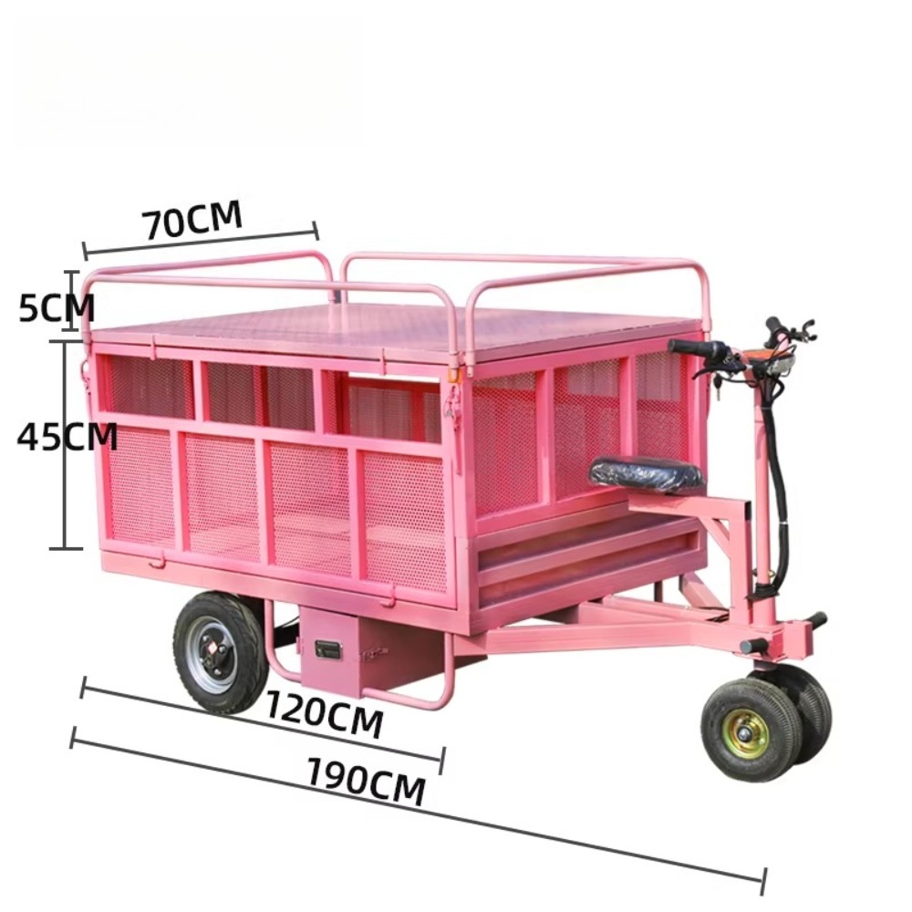 3 Wheel Electric Flat Cart Rev - огляд і ціна Snacks Food Stall