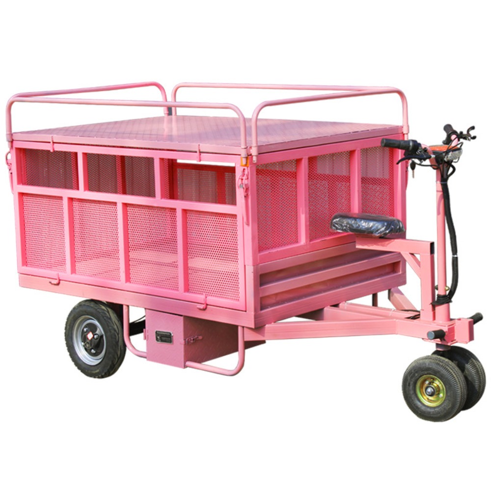 3 Wheel Electric Flat Cart Rev - огляд і ціна Snacks Food Stall